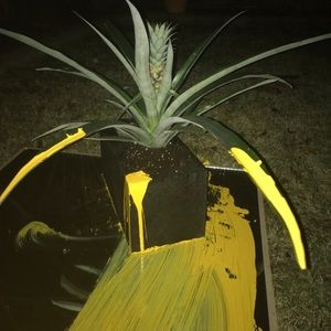 Meet your Posher, Brigdon